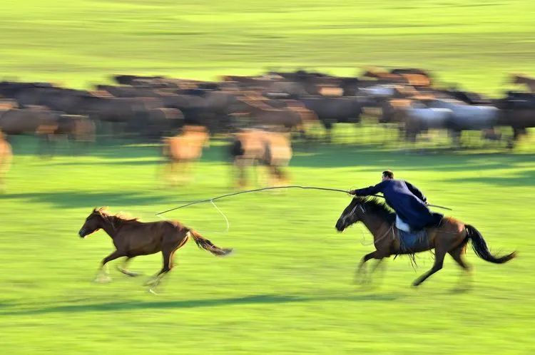 七月中国美如画，夏日避暑五十处