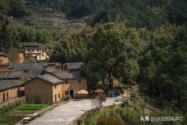 乡镇那些事41集,乡镇那些事51