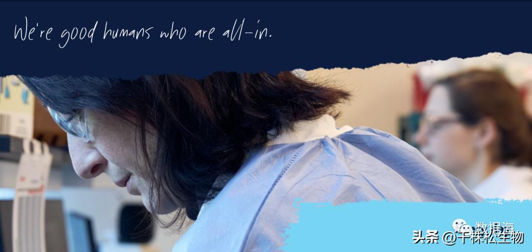 【基因疗法】蓝鸟生物的基因疗法治疗过程