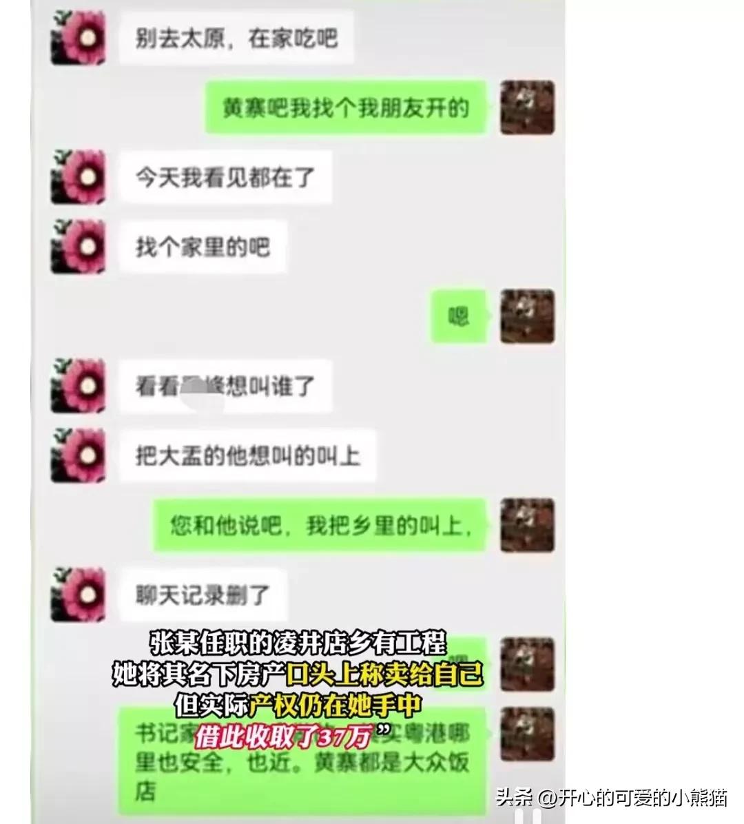 女书记被举报的猫腻