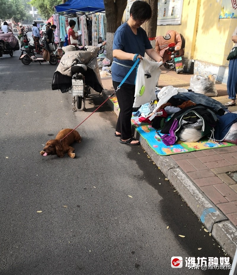 【农贸市场“慢”游记：新华乙巷早市，潍坊人的超长版“菜篮子”！】