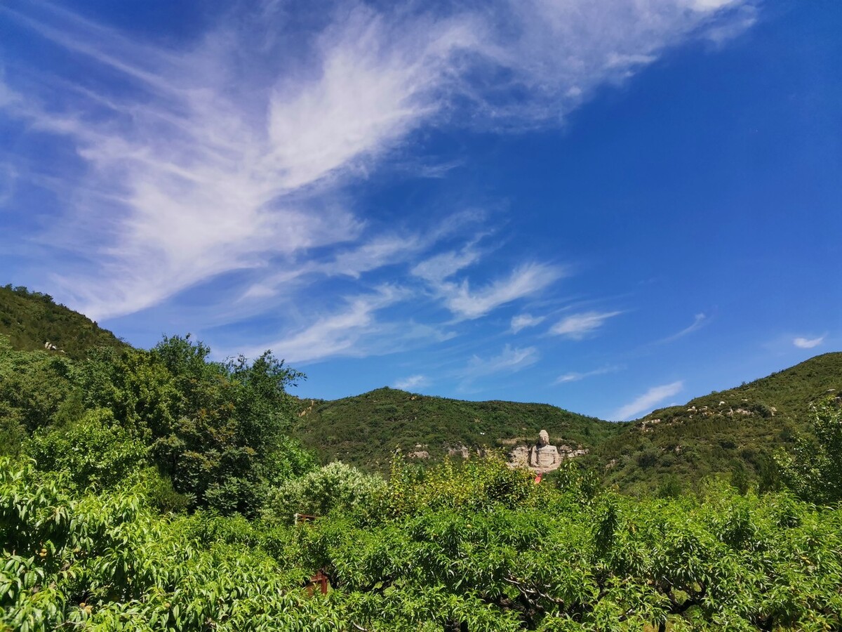 河南省重点项目洛阳市,河南省重点项目实时动态