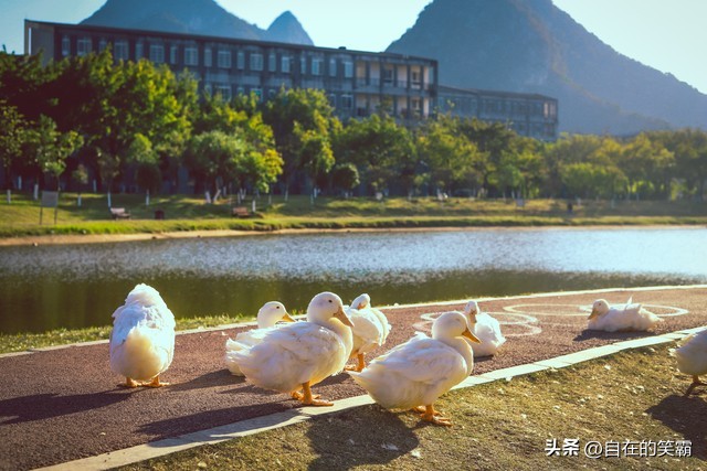 桂林电子科技大学怎么样？一所以特色学科引领的高等教育明星