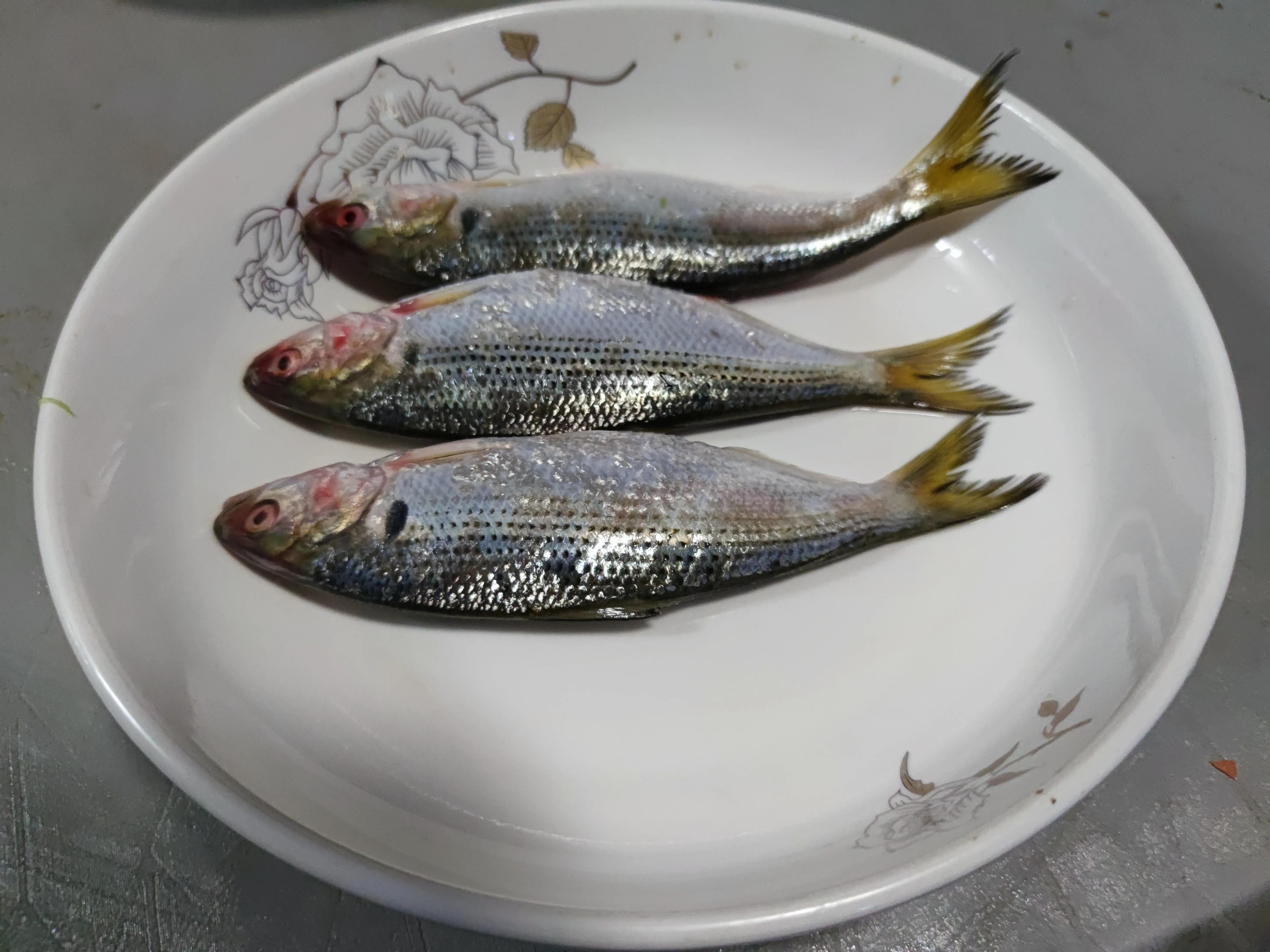 这4种海鱼将大量上市,十种最便宜的海鱼