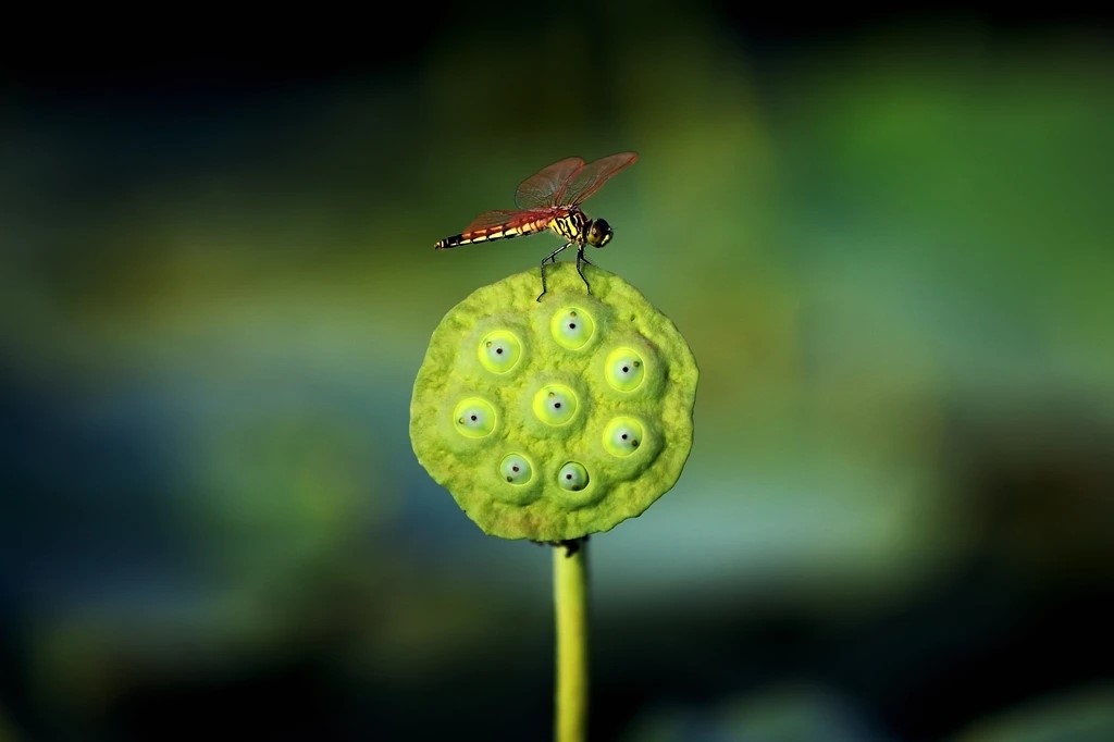 如果你感觉生活很累到底该怎么做,如果你感觉生活很累的时候英文