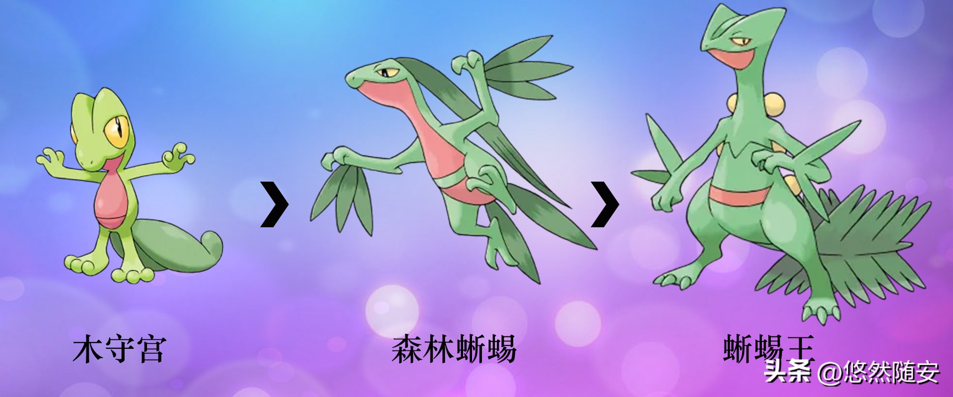 宝可梦伊布全部进化形态,宝可梦剑盾泪眼蜥进化形态