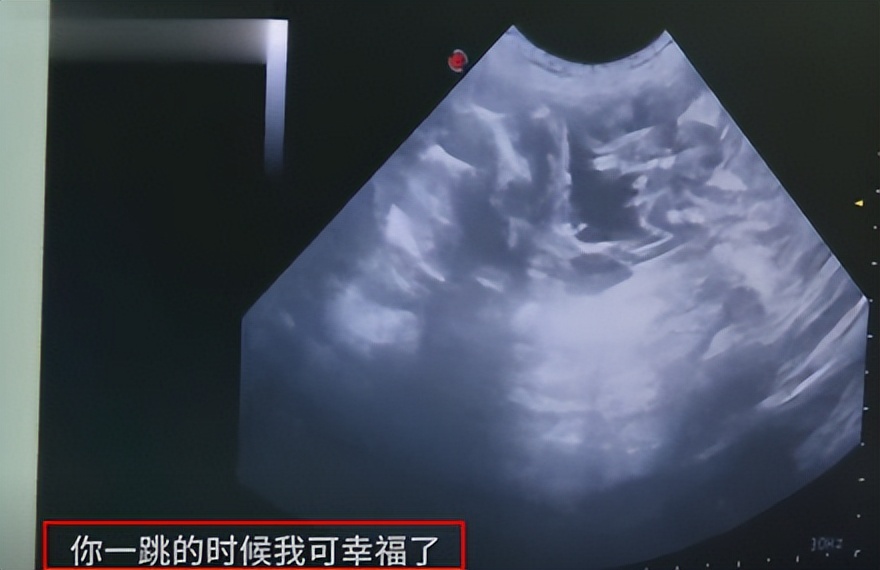 霍思燕豪门捞金,霍思燕富婆