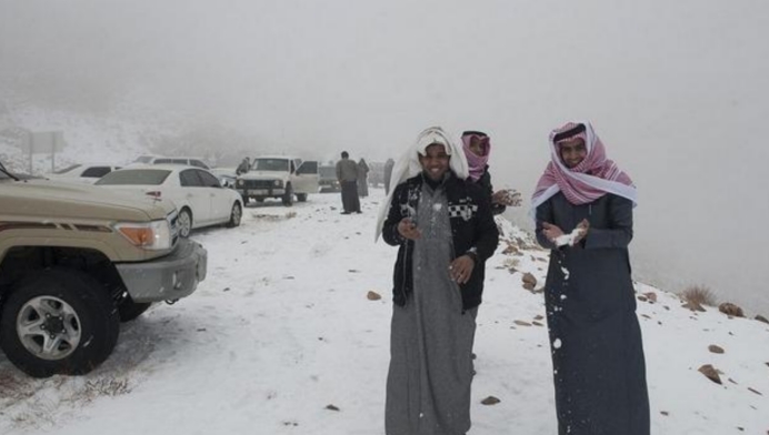 为什么海面结冰鱼不会被冻死,零下20度鱼被冻死