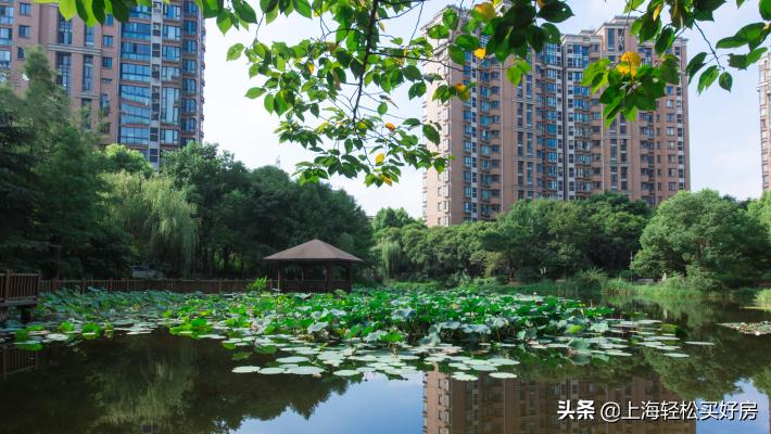 上海市闵行区闵行实验小学,闵行区实验小学在上海的排名