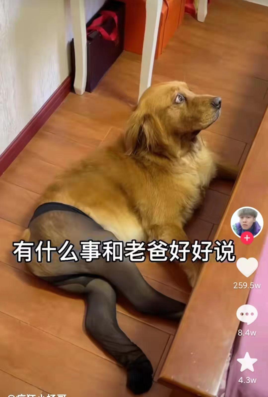 创业如何讲故事,创业者必须学会讲的故事