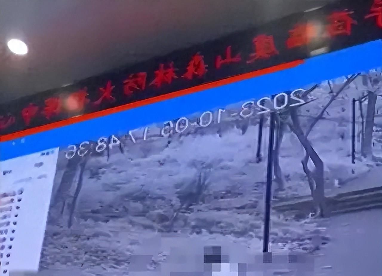 虞山森林公园惊现直播不雅行为，隐私权何在？