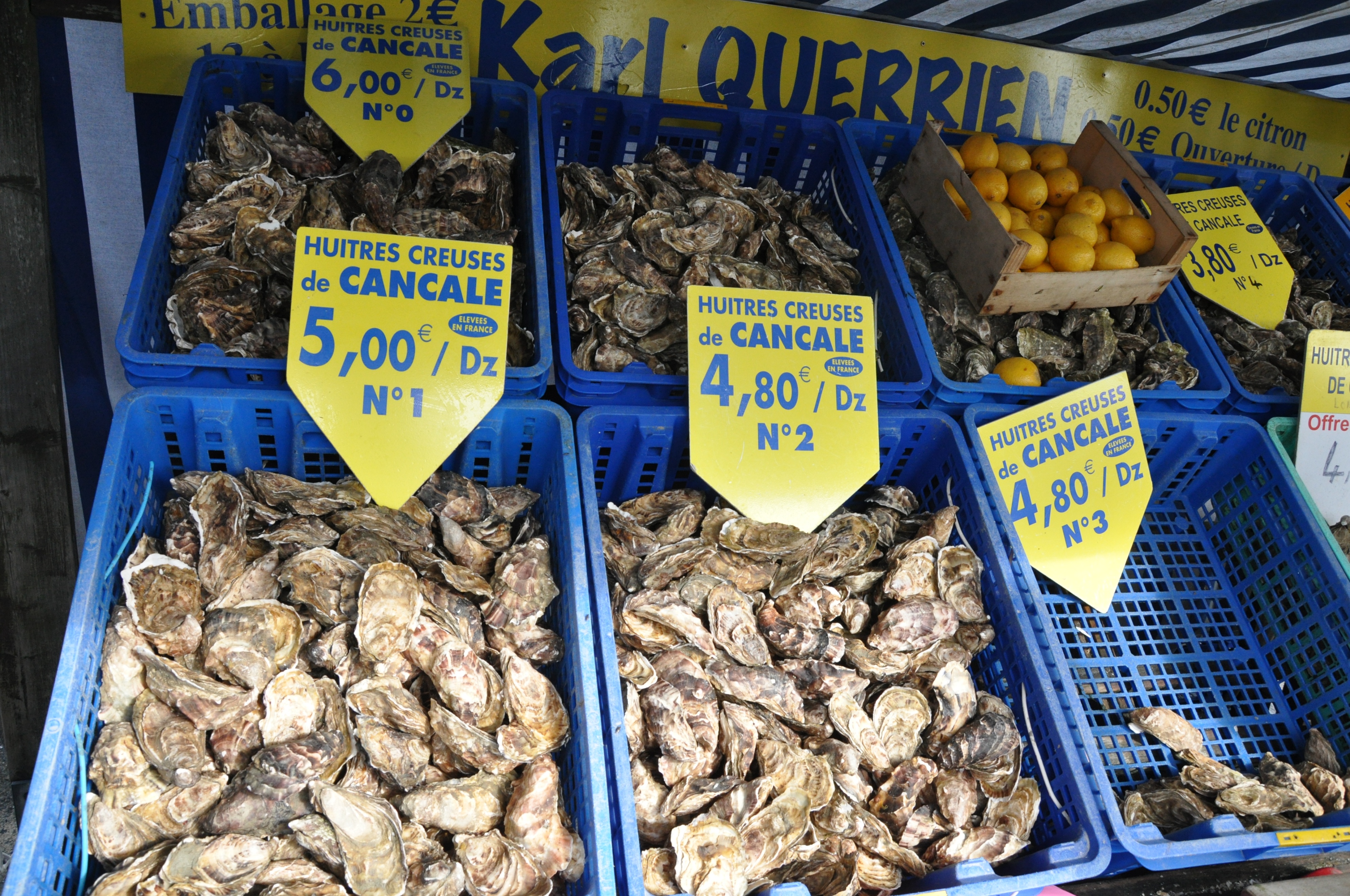 生蚝之都康卡勒：凯撒大帝太阳王拿破仑三世青睐，美味流传两千年