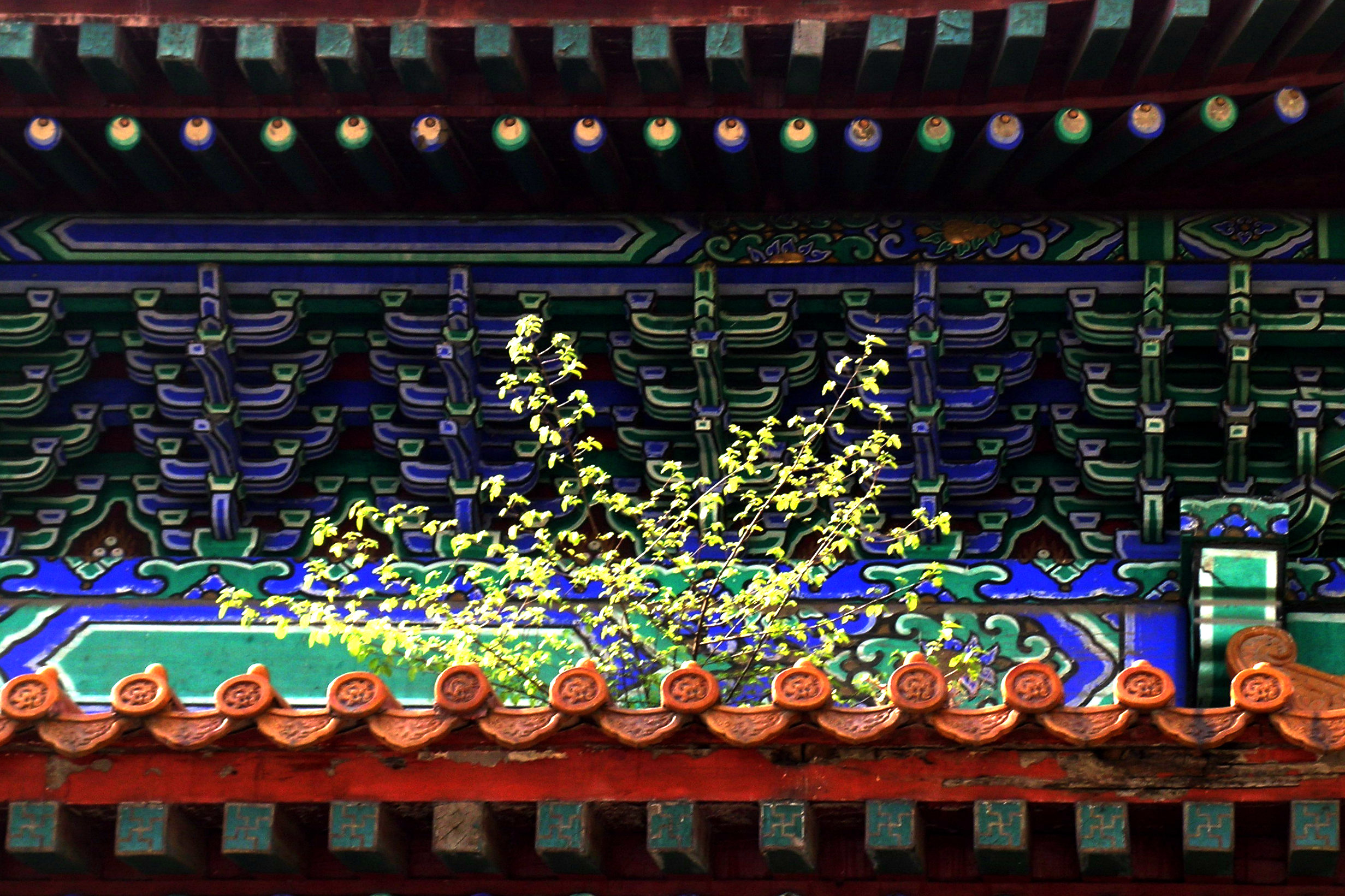 十三陵长陵殉葬,给爷爷下葬