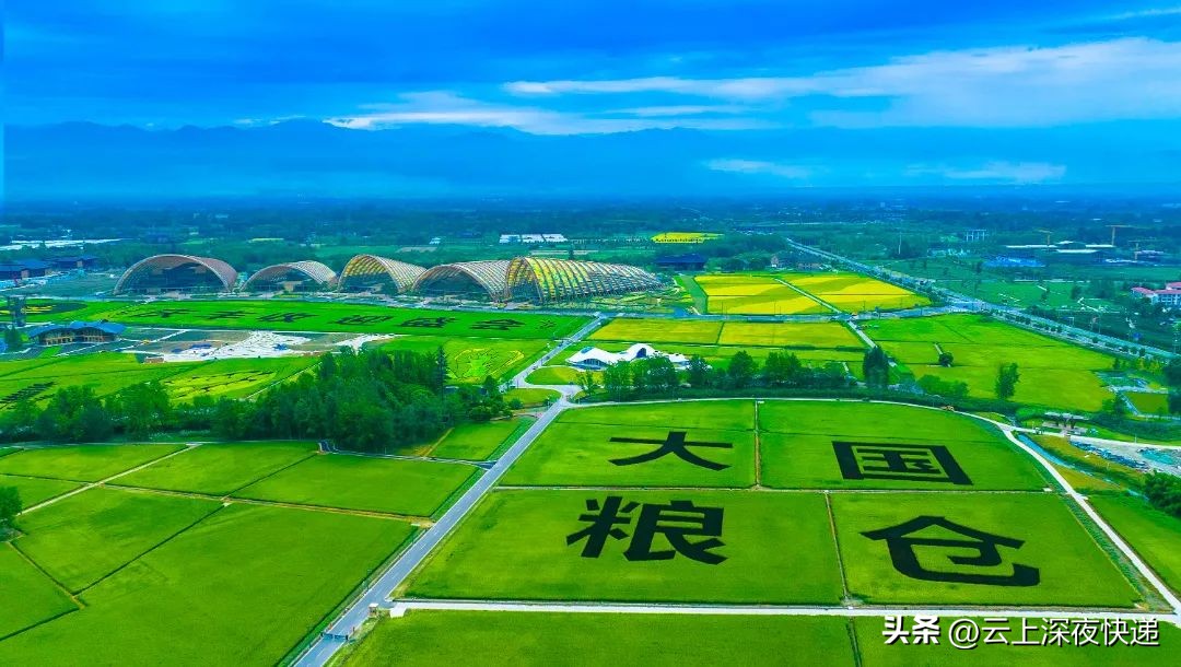 一粒种子的传奇故事,新津发展史