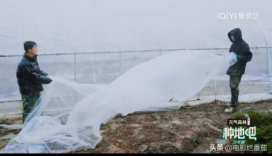 从豆瓣8.4到9.0分，这群认真种地的少年们，值得被所有人看见
