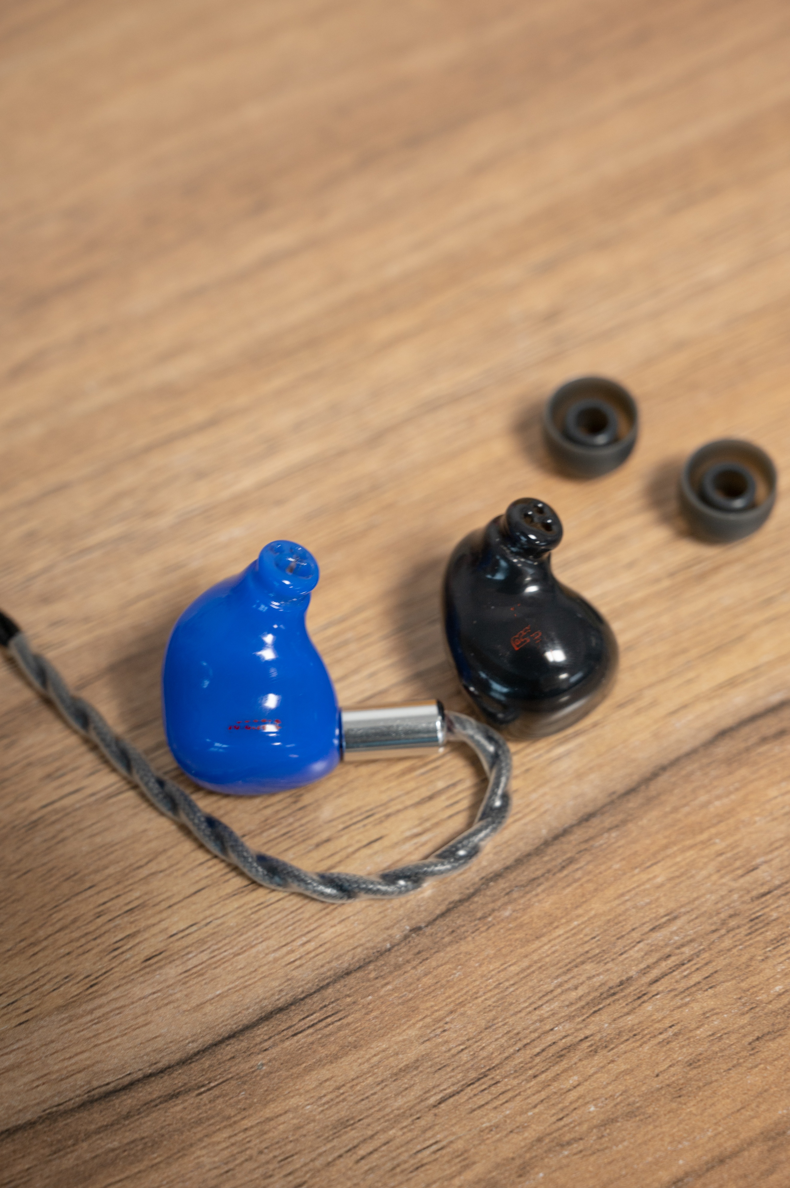 陪了我四年的黑黄鹂，是时候该说再见了