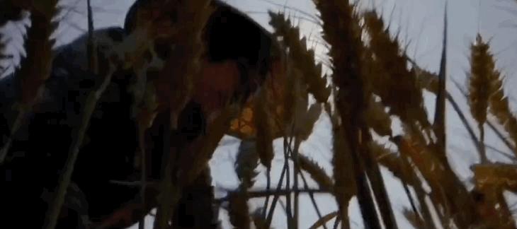 “我红了,她走了”