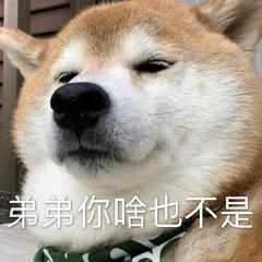 过来挨揍表情包,熊挨揍的表情包