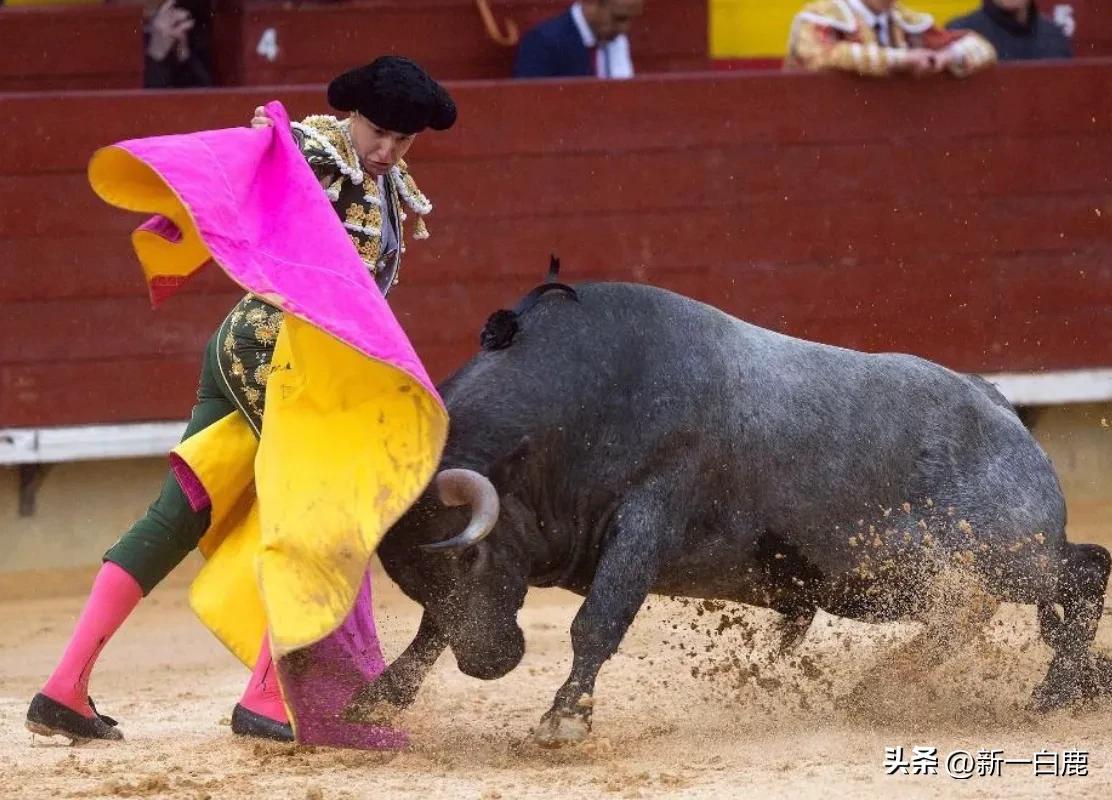 在联合国当中，缴纳会费最高的“10个国家”，看都有哪些