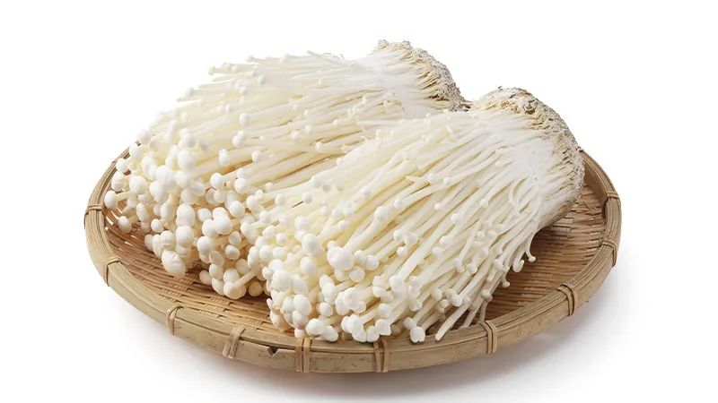 不用花钱就能买到小型电脑,如何买到适合自己的电脑