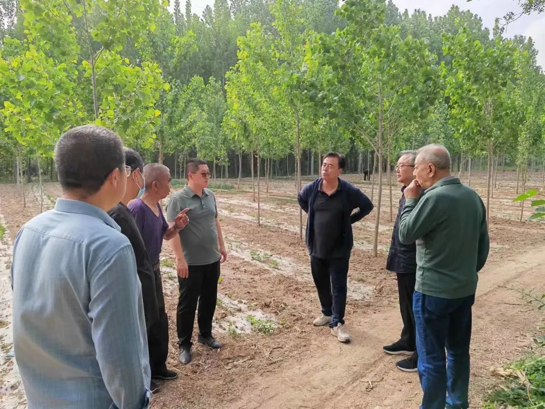 赵虎镇一周工作动态,德州赵虎镇5年计划