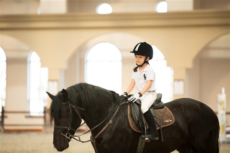 2023华杯赛夏令营,华誉外交官