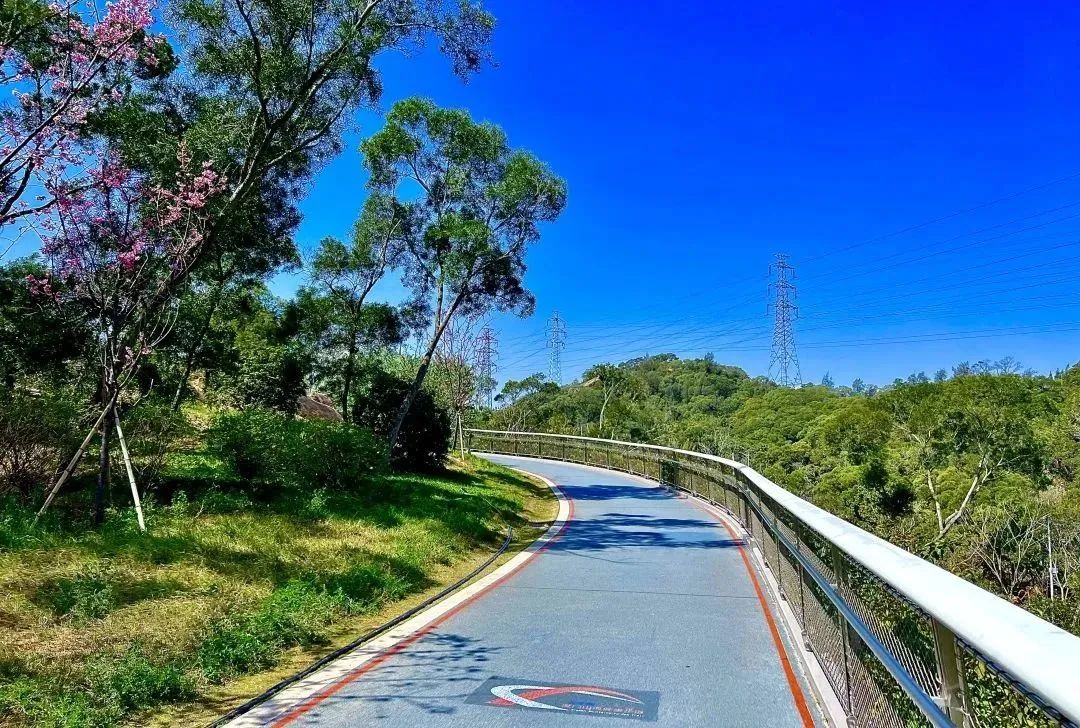 一起乘坐火车去旅游,一起乘坐飞机旅游