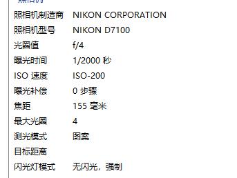 摄影新手入门用微单还是卡片机,玩转手机摄影人像教学