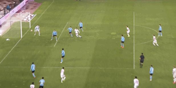 中超联赛最新战况萨尔达尼亚,萨尔达尼亚对中超