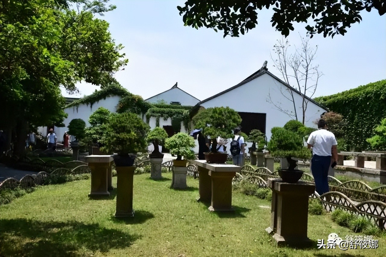 苏州园林拙政园地址,苏州园林路拙政园