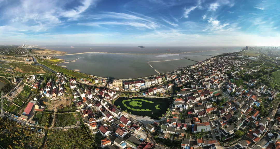 上海免费看海最好的地方,上海最佳免费观海地点