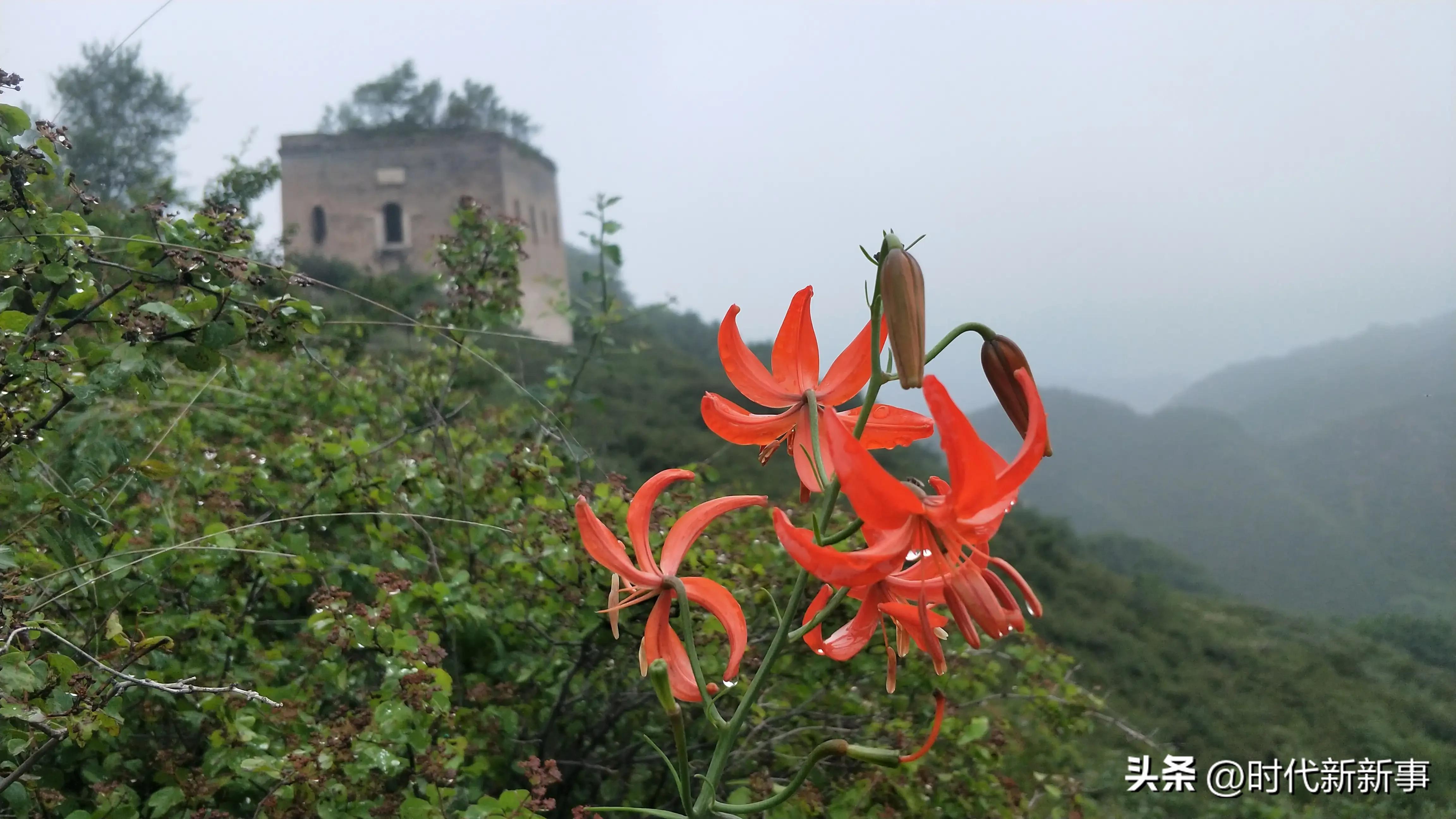 县出台乡镇综合行政执法工作规则,加快推进乡镇综合行政执法建设