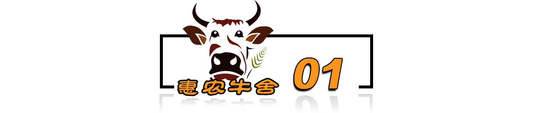 泥鳅水花常见病害及解决方法,泥鳅黄鳝的养殖技术和病害