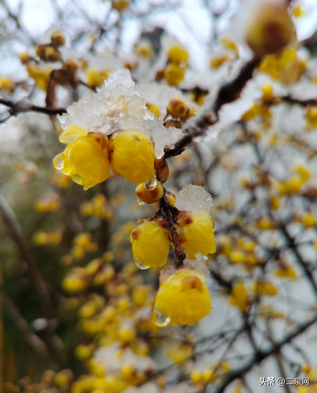 无锡新区鸿山旅游攻略,无锡鸿山有什么好玩的