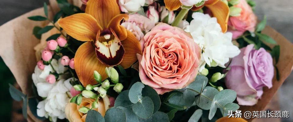 全英线上订花攻略：情人节限定fafa～爱你的心用花表示！