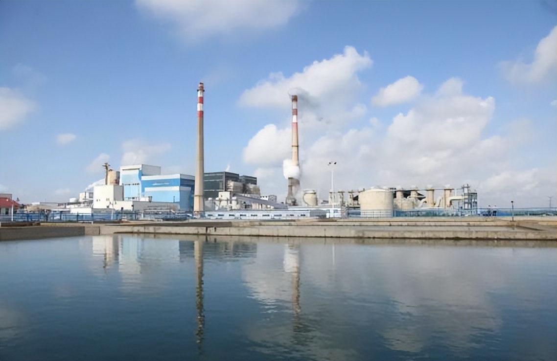 一证抵万金！金华盛纸业荣获江苏首批RCEP项下输马来西亚证书