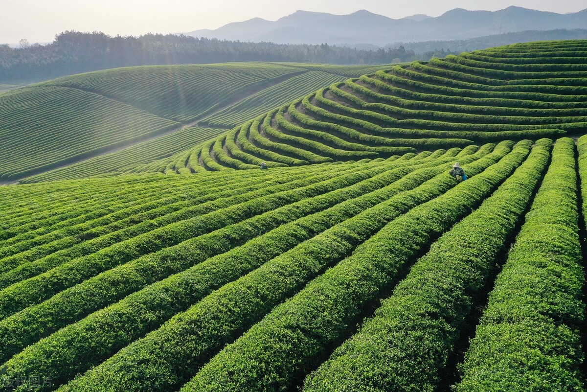 穿越重生都市小说排行榜,都市重生流小说排行