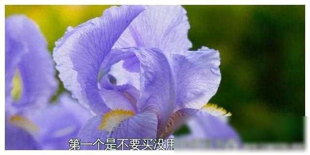 家庭治疗概念与方法,怎么构建和谐家庭