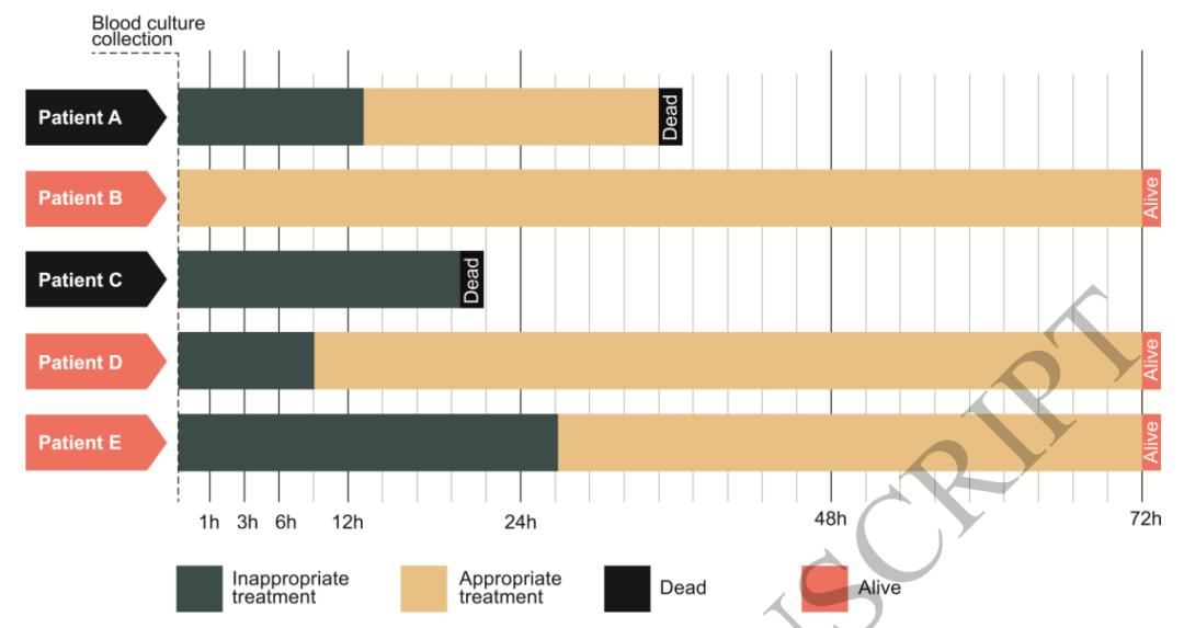 血流相关感染预防,血流感染抗感染周期