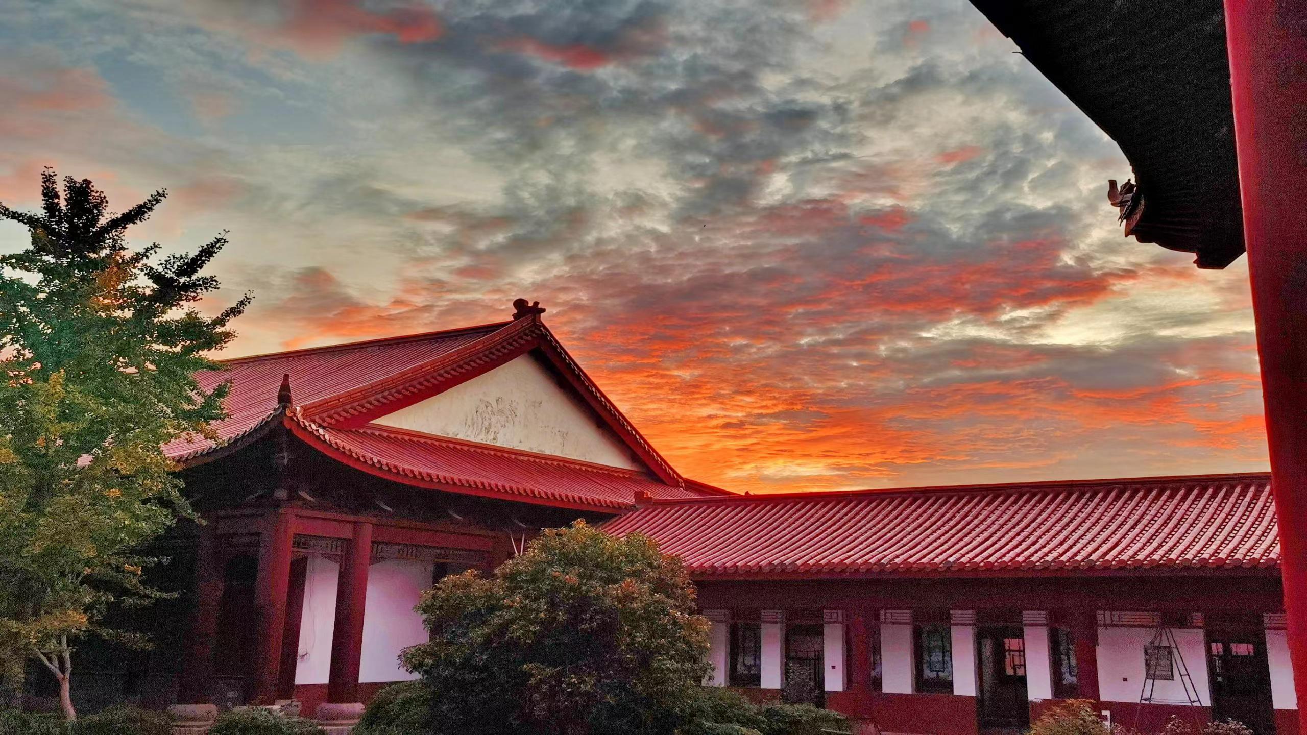 有没有专业武术培训的地方,江桥武术培训