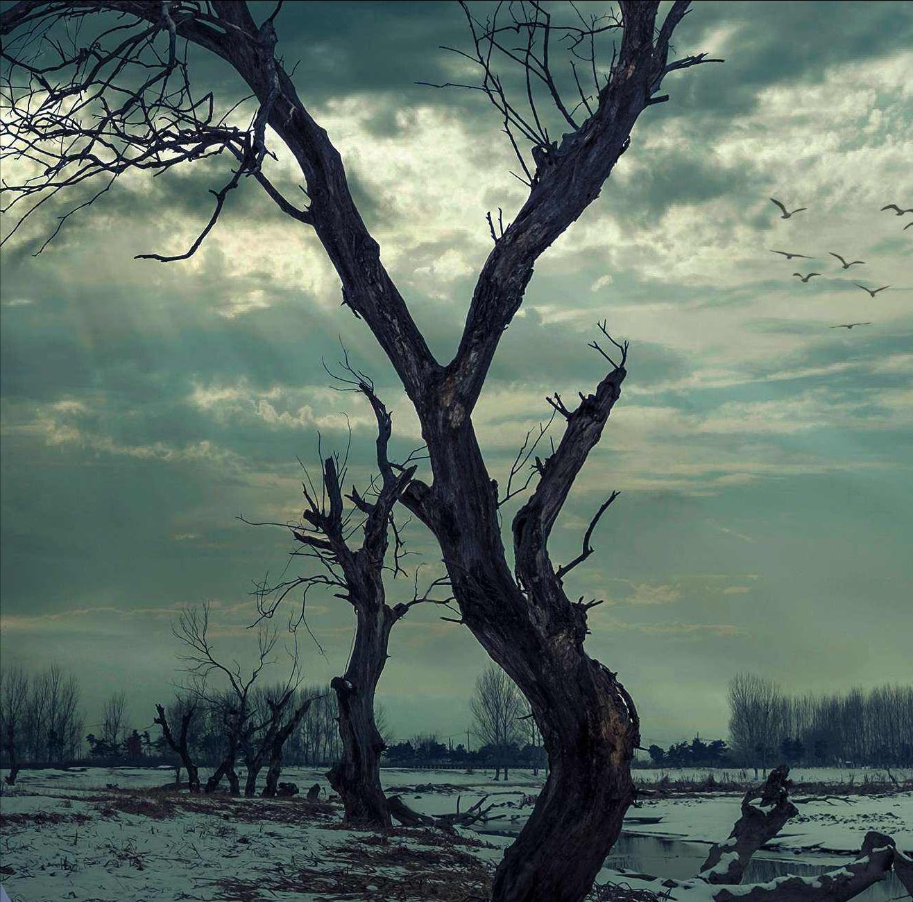 曾仕强关于鬼的故事,国学大师曾仕强讲报应