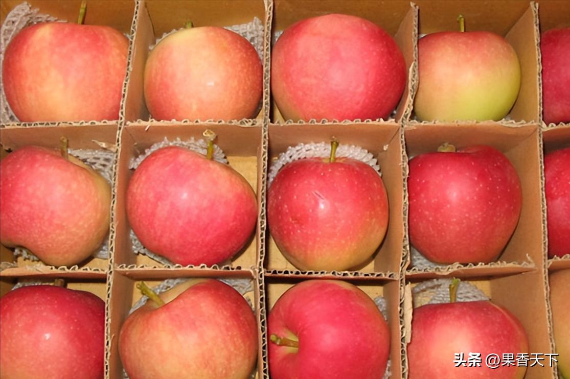 嘎啦苹果还能“活”多久？