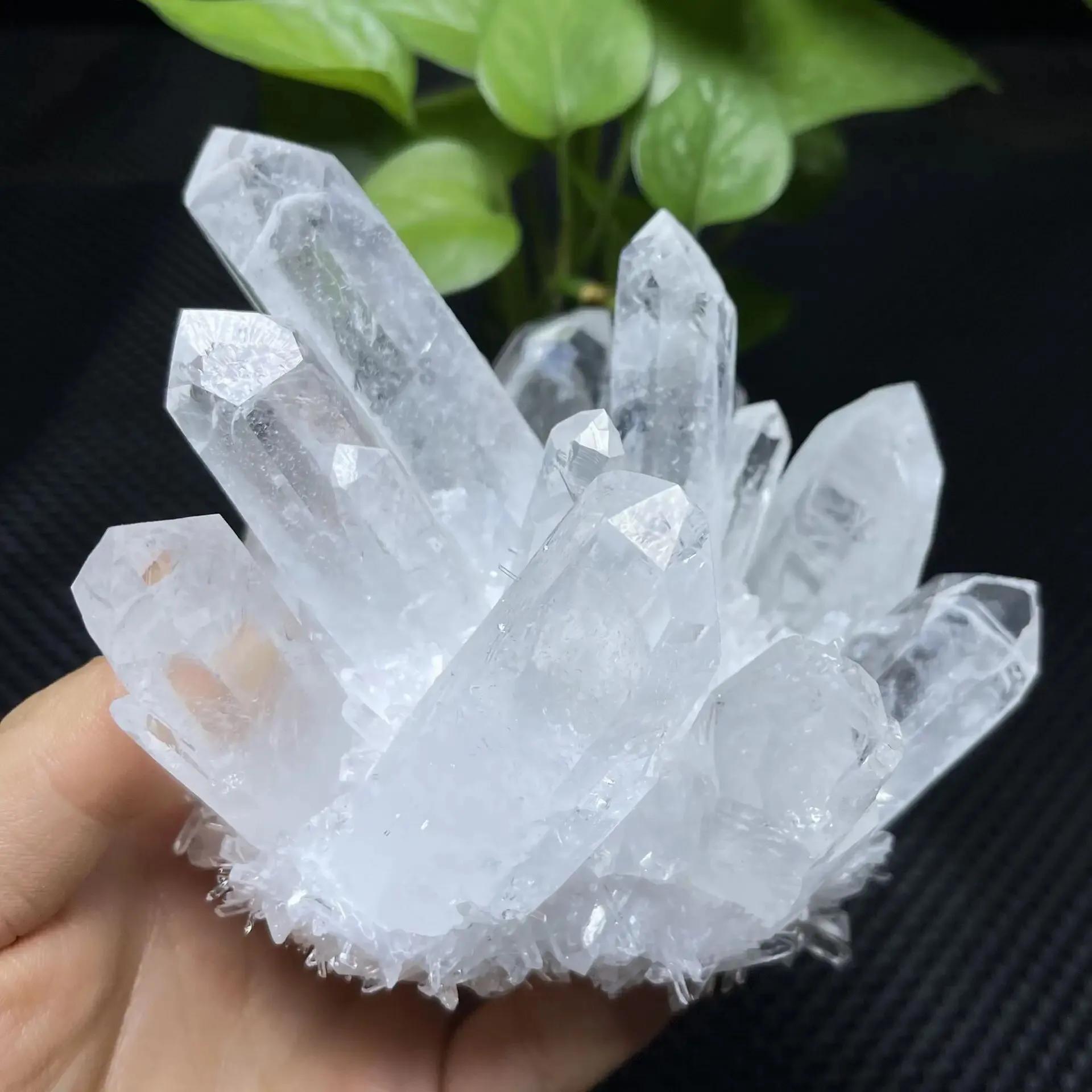水晶簇是如何生长 (水晶簇的培育)