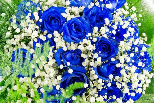 七夕情人节送玫瑰花的小常识,七夕情人节红玫瑰花束花语