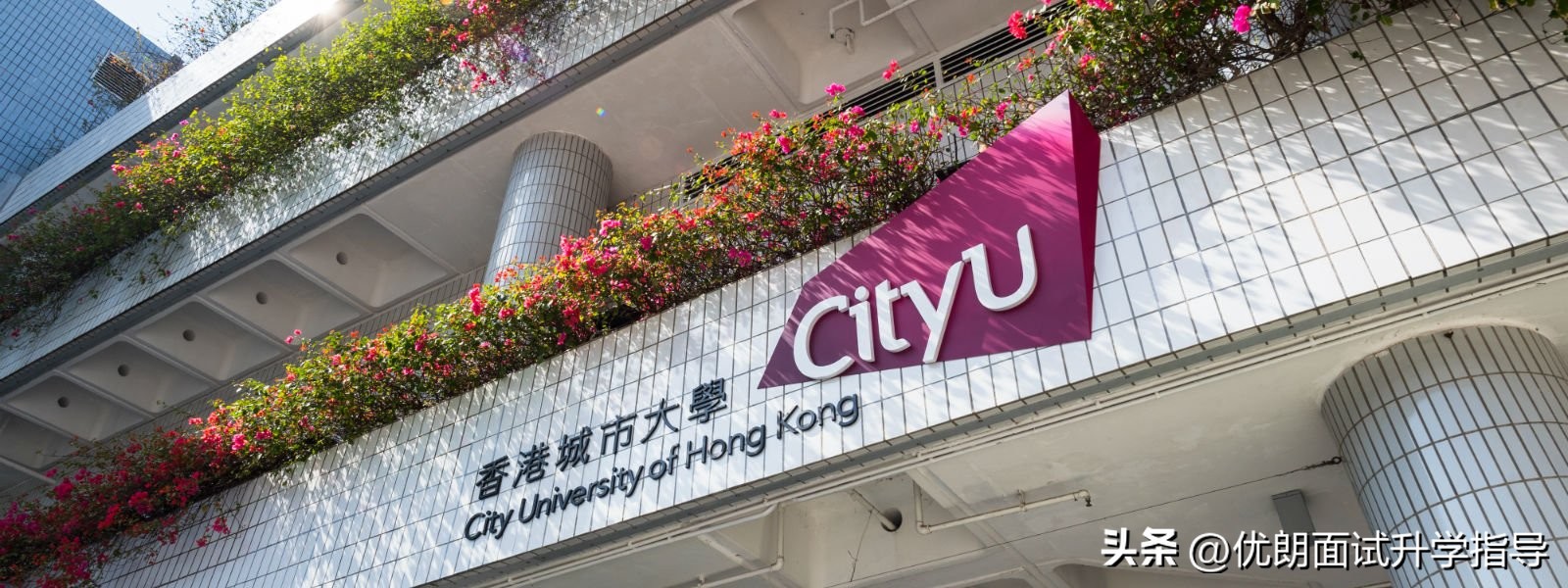 港澳台法学专业排名,港大法学和人大法学哪个好