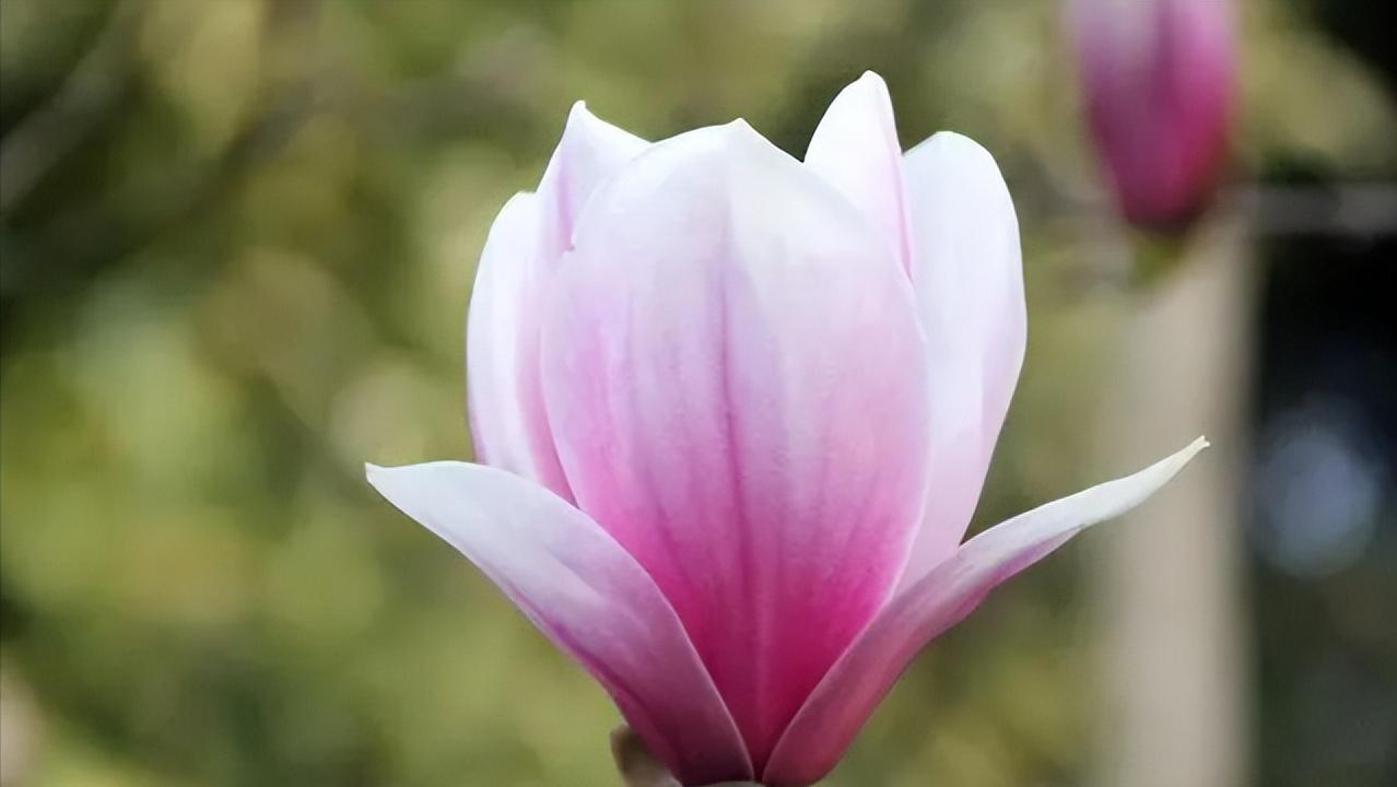 喜欢的人不给你发消息怎么回复,喜欢的人不怎么回复你怎么办