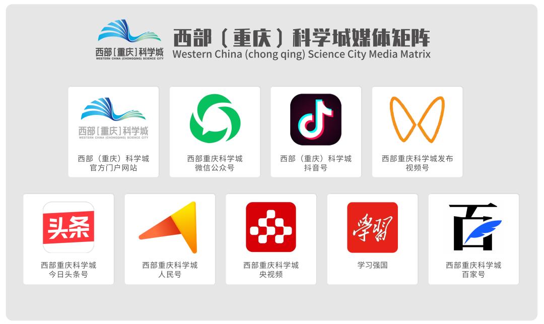 服务|最全最实用！小科抖手把手教你变成“金凤凰”