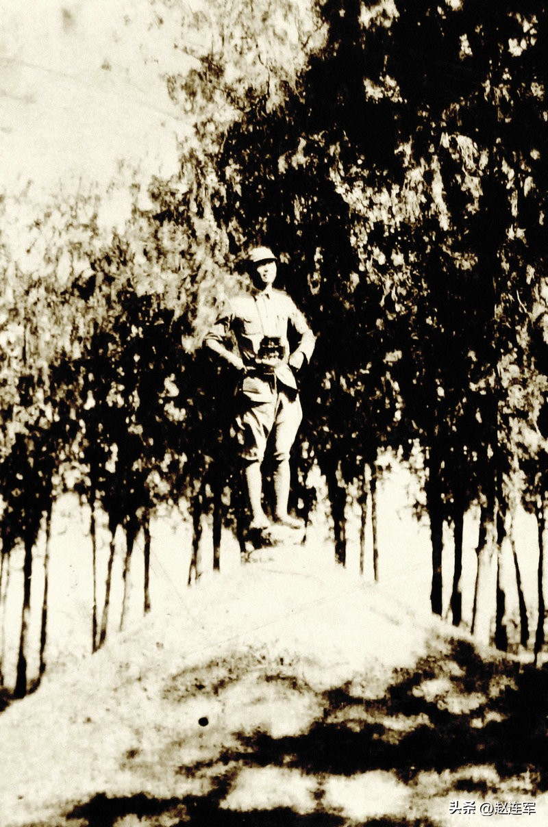 寮犵埍钀嶆姉鎴樼數瑙嗗墽,寮犵埍钀嶅皢鍐涚浉鍏崇數瑙嗗墽