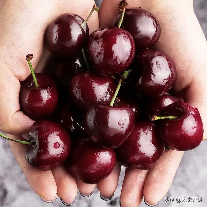 车厘子等级标签解读,车厘子哪种等级最好