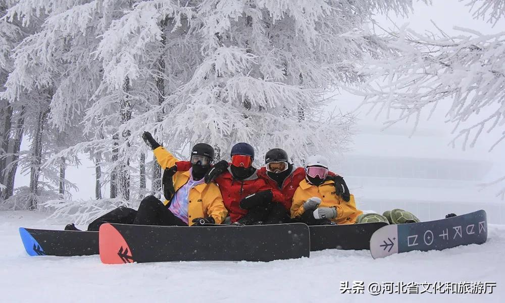 万龙滑雪场粉雪,万龙滑雪场粉雪全能板